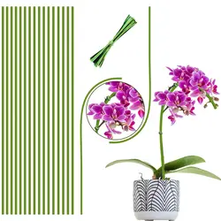 20pcs Plant Supports Stand Butterflies Orchid Flower Potted Fixing Rods Reusable Vegetable Protection Fixing Tool Gardening Tool