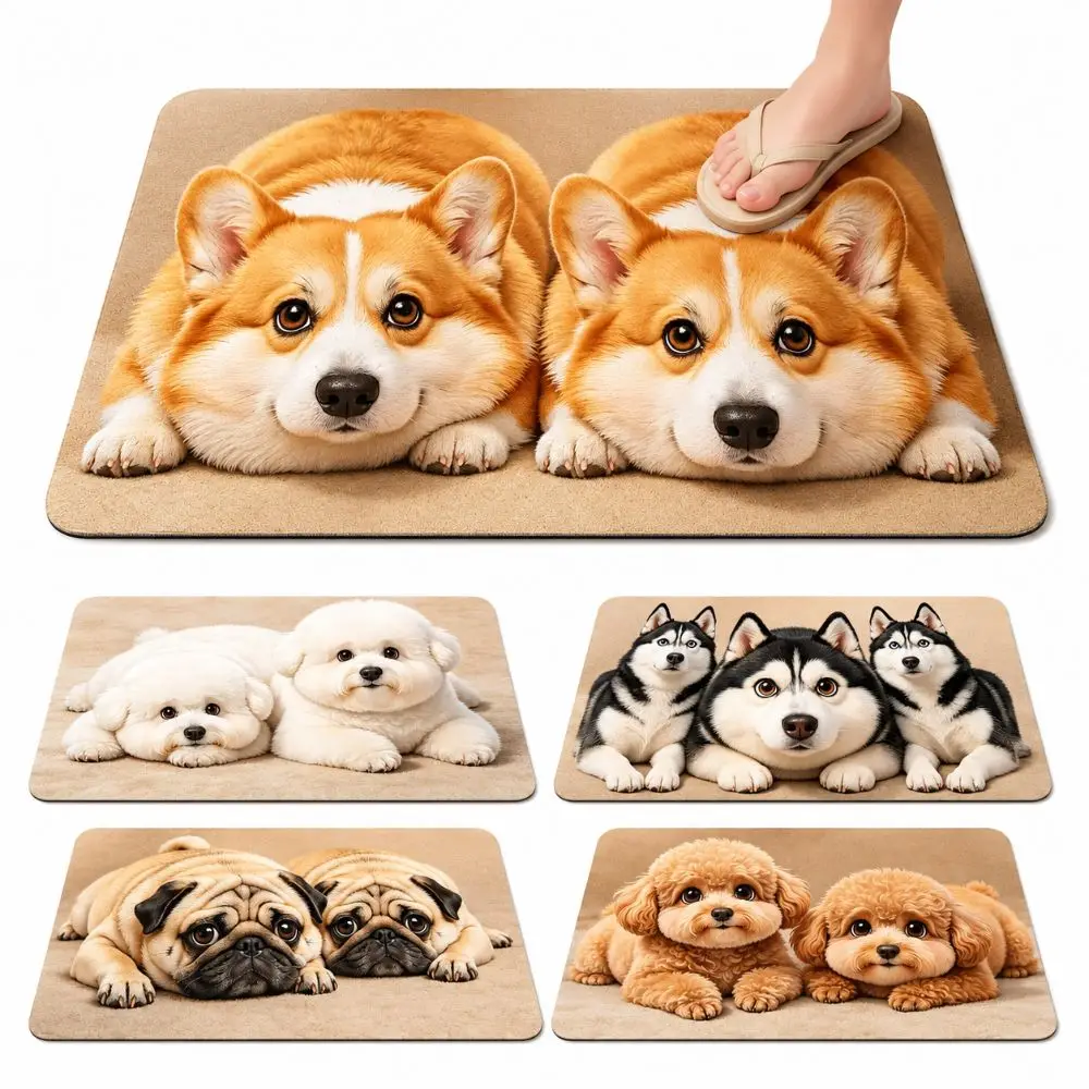 2D Flat Optical Illusion Doormat Non-slip Abrasion-resistant Bathroom Carpet Durable Diatomaceous Earth Bedroom Door Rug
