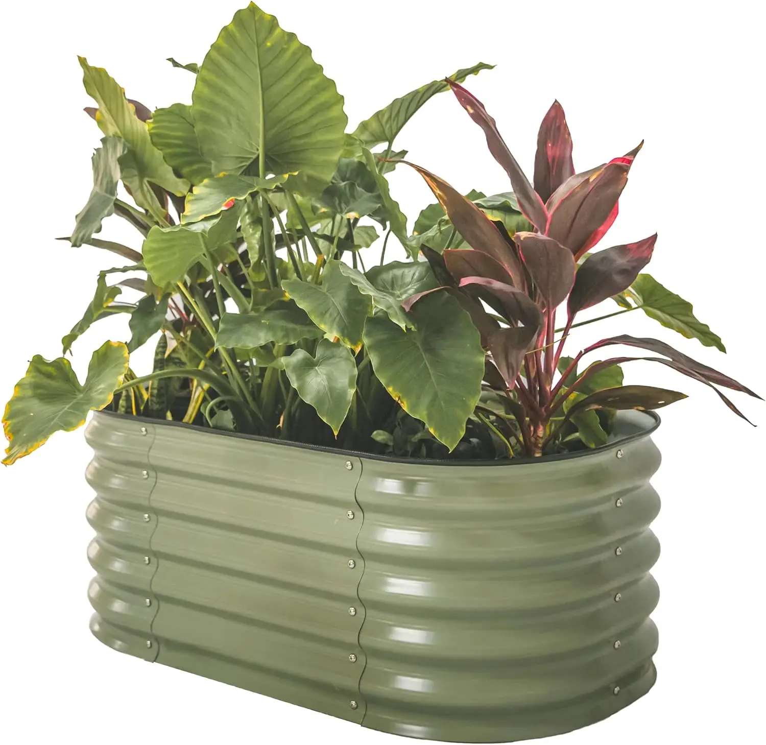 

17" Tall Kids First Garden Bed 24" x 42" Raised Planter Box Outdoor Metal Galvanized Gardening Bed for Vegetables Herb &