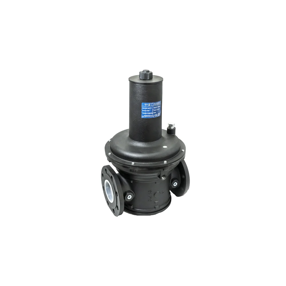 

AGV Pressure Reducing Valve for Boiler Accessories Combustion Parts HVAC Systems Industrial Gas Equipment Replacement Part