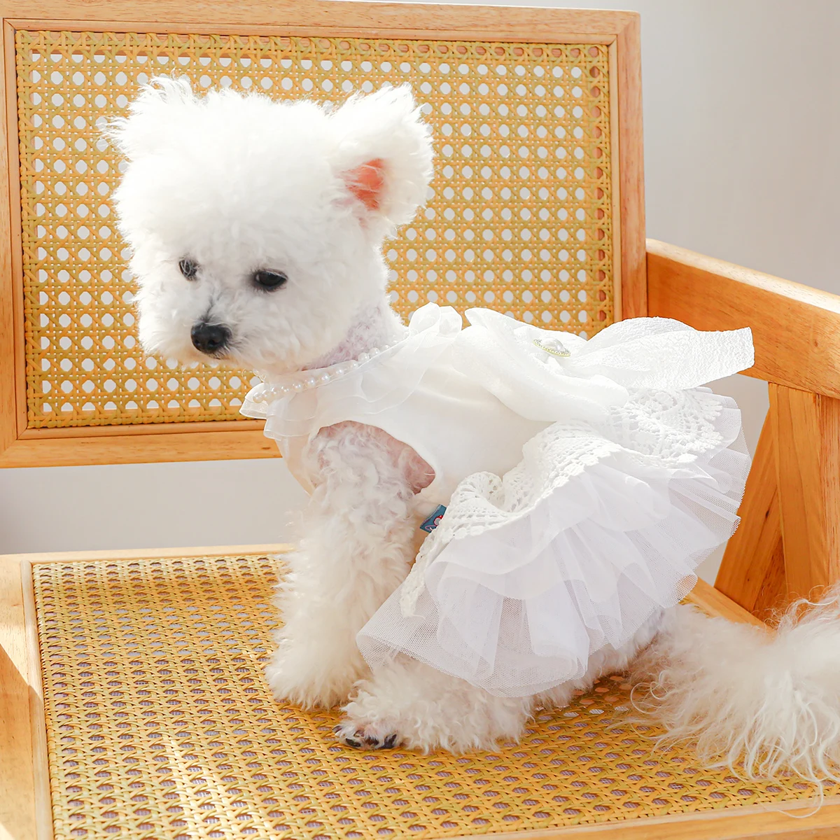 1PC Pet Clothing Dog Queen Wedding Dress Bow Cat Spring/Summer Princess Dress Suitable for Small and Medium sized Dogs