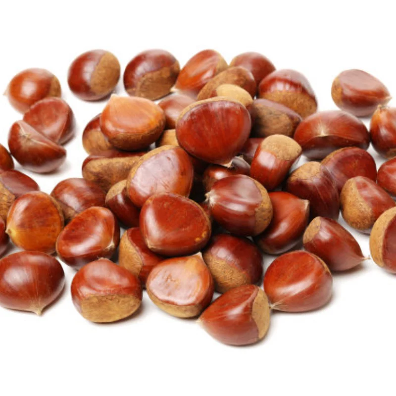 

Обновление радиоуправляемого автомобиля, алюминиевый радиатор, крепление двигателя, сиденье для TT01/DF02, детали для обновления радиоуправляемого автомобиля