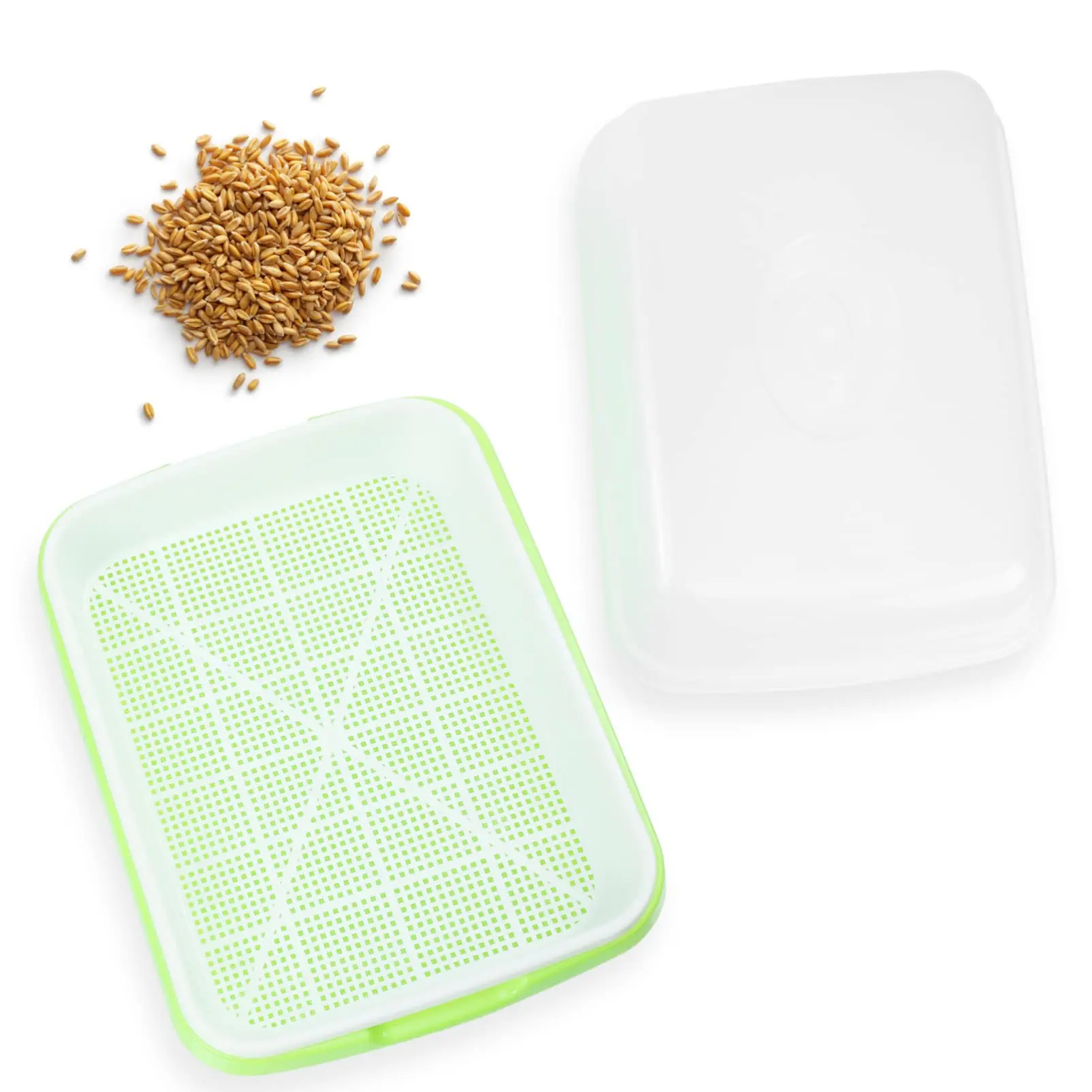 Hydroponic Sprouter Tray for Garden Nursery Potted Plants Horticultural Growing System