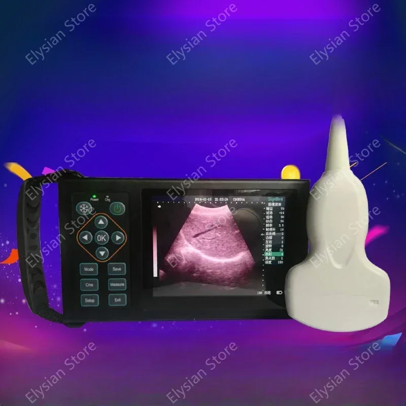 New product Animal b ultrasound machine Portable HD large screen cat, dog b ultrasound machine for pet pregnancy test equipment