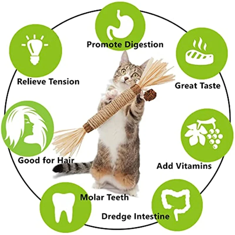 Giocattoli per gatti Silvervine Bastone da masticare, Gattino Trattare Catnip Giocattolo Kitty Roba naturale con erba gatta per pulire i denti Dentale interno