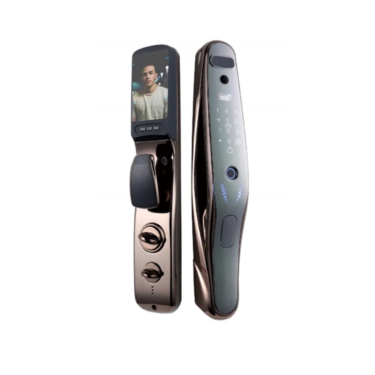 Smart Steel Door with Video & Maoyan Video Call Password & Key Data Storage Options for Home Security