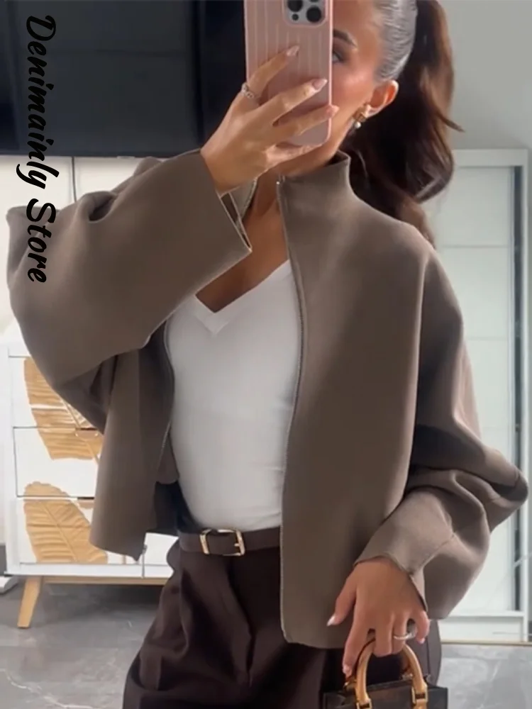 Women's Knit Short Cardigans Loose Stand Collar Zipper Full Sleeve Female Sweater 2026 Autumn Lady Casual Knitwear Daily Outwear