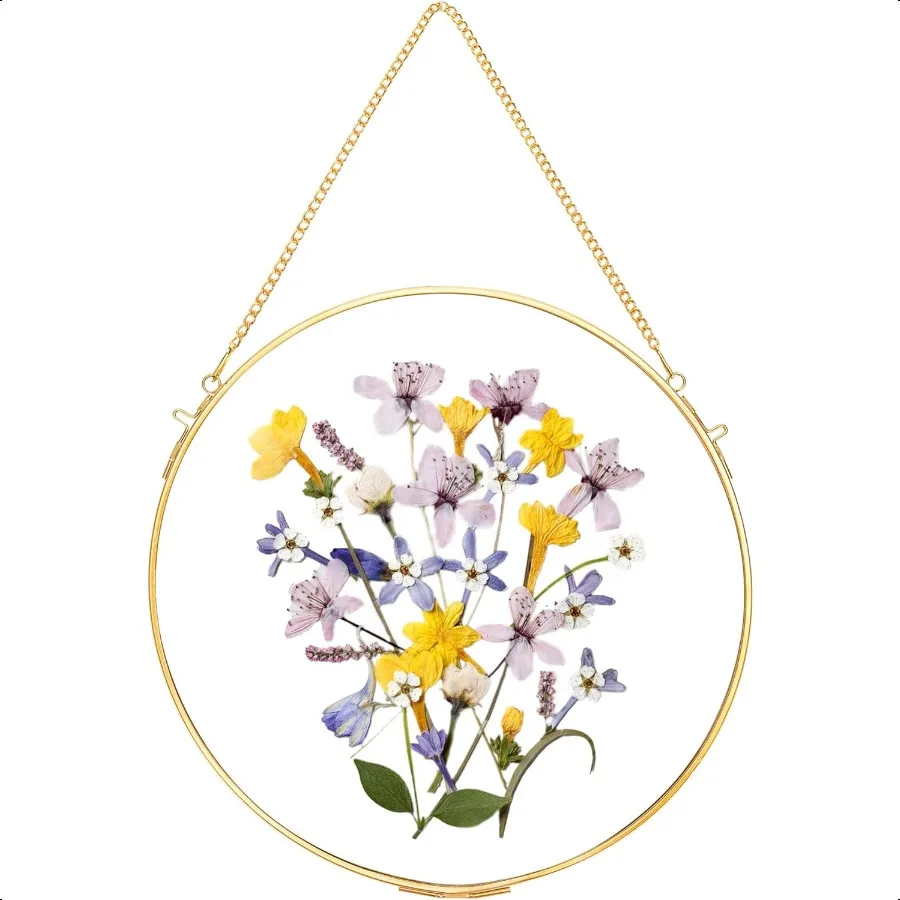 

REDHUGO Glass Frame for Pressed Flowers Handmade Wall Hanging Brass Floating Frame Double Glass Round Picture Glass Frame for D