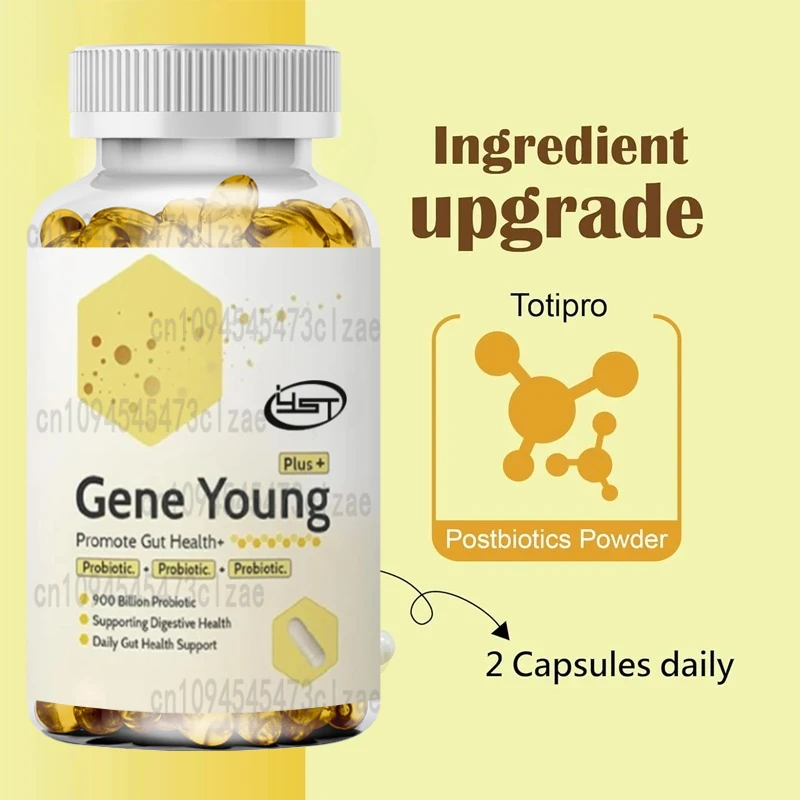 3-in-1 Daily Probiotics, Probiotics, Prebiotics Promote Digestive Health, Bloating Support, and Immune Support | 60 Capsules
