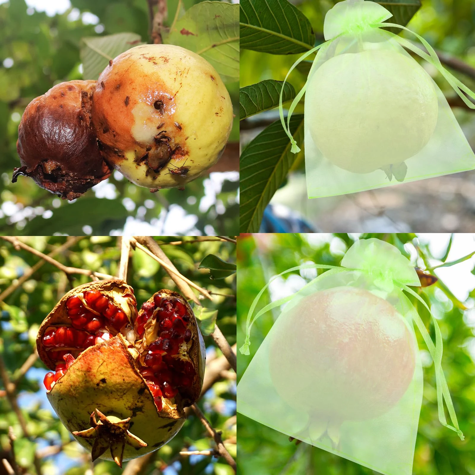 100 قطعة أكياس حماية الفاكهة أكياس نمو النبات مكافحة الطيور المعاوضة شبكة حقيبة الخضار الفراولة أكياس أدوات الحدائق