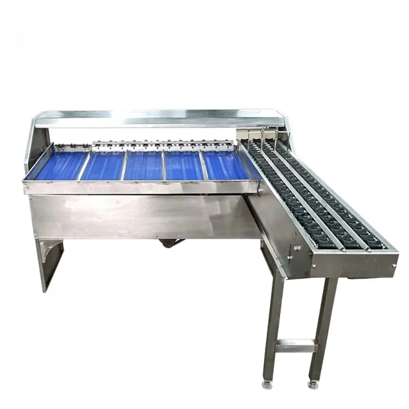 ماكينة فرز حجم البيض الأوتوماتيكية، ماكينة فرز بيض الدجاج الصغيرة #2