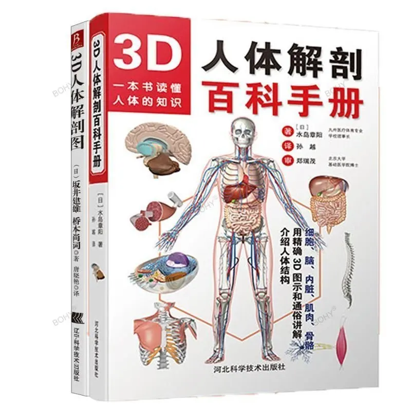 

3D Encyclopedia of Human Anatomy Color Atlas of Human Anatomy Book Adult Books Health Management Human Body Knowledge