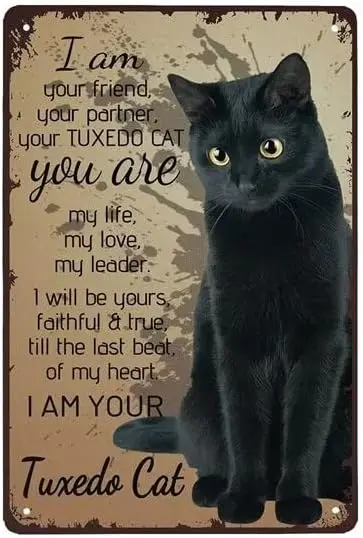 I Am Your Friend Your Partner Your Cat You Are My Life Black Cat Sign Home Wall Decoration Metal Plaques Cat Decor