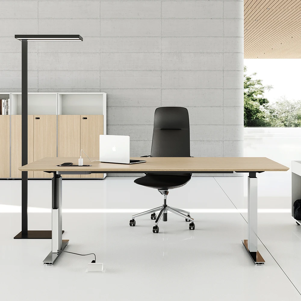 Basic Electric Height Adjustable Desk Office Home Gaming Computer Study Table Industrial Modern Optional Drawers Can Be Selected