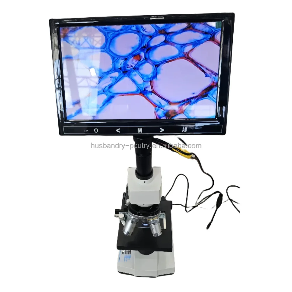 Horse Microscope Rabbit Biological Microscope Animal Artificial Insemination
