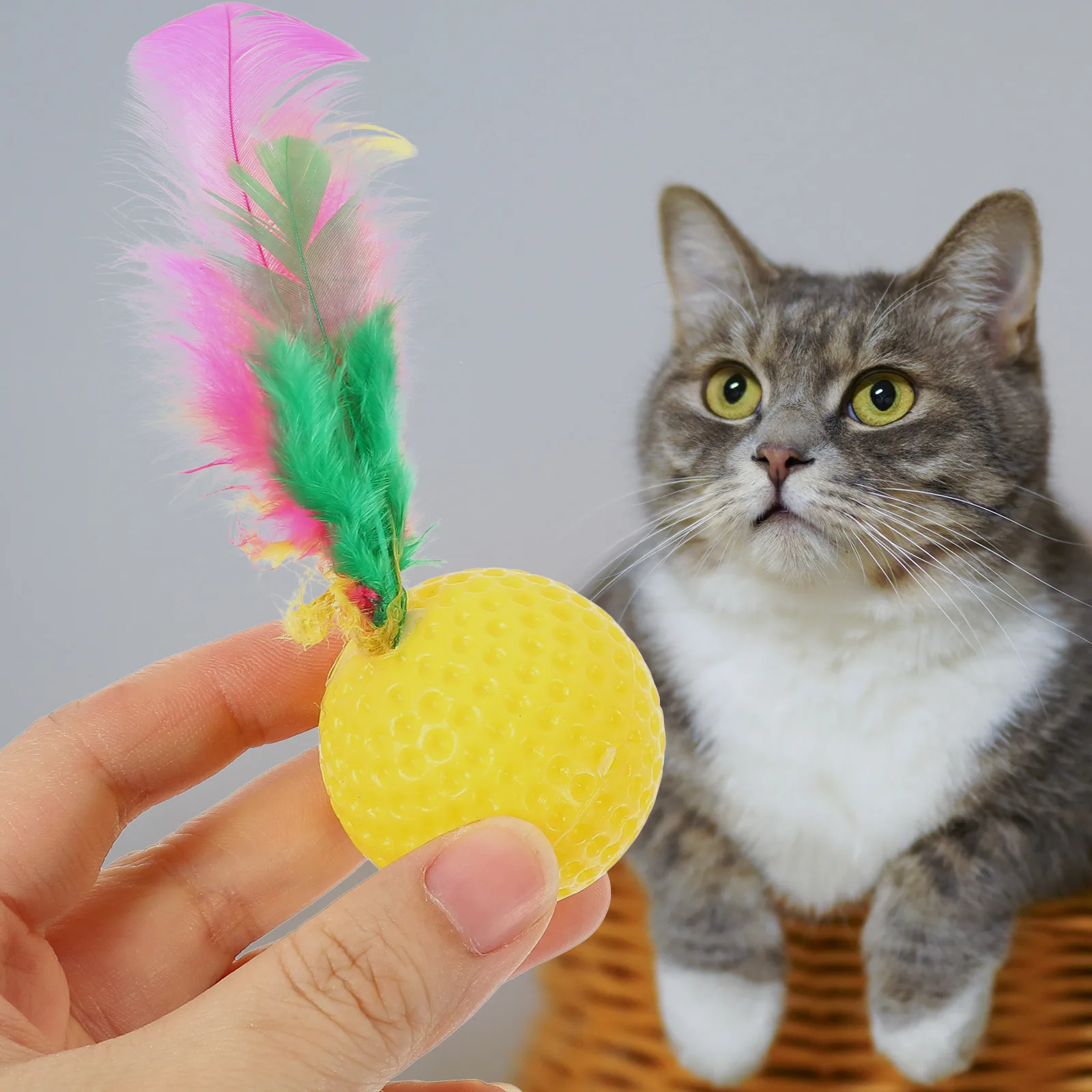 24 Buah Bola Suara Interaktif untuk Latihan Menggoda Interaktif Perlengkapan Aktivitas Hewan Peliharaan Berbagai Macam Warna