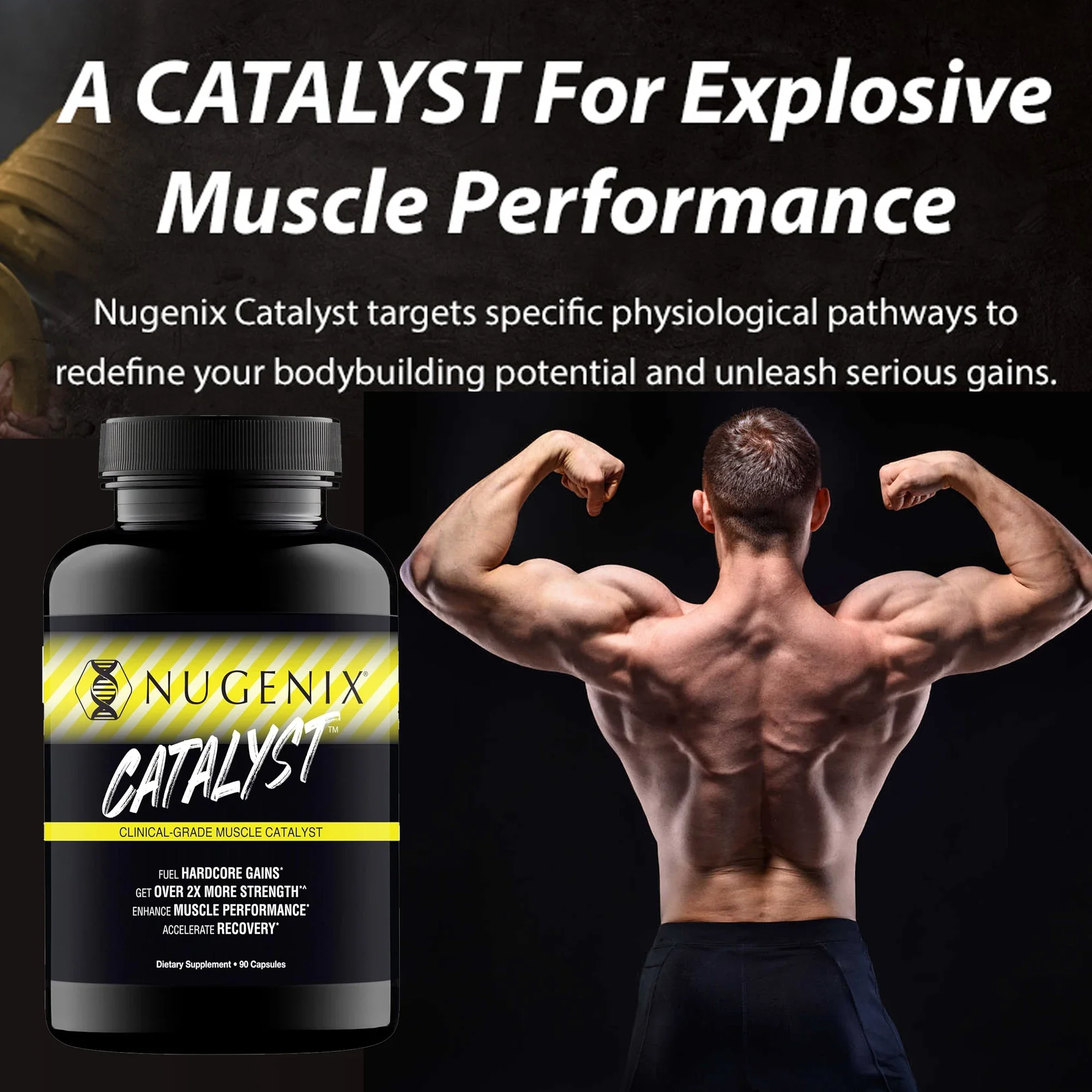 Muscle Supplements - Muscle Gain, Improve Endurance, Muscle Mass, Performance, Endurance, Bodybuilding Supplements