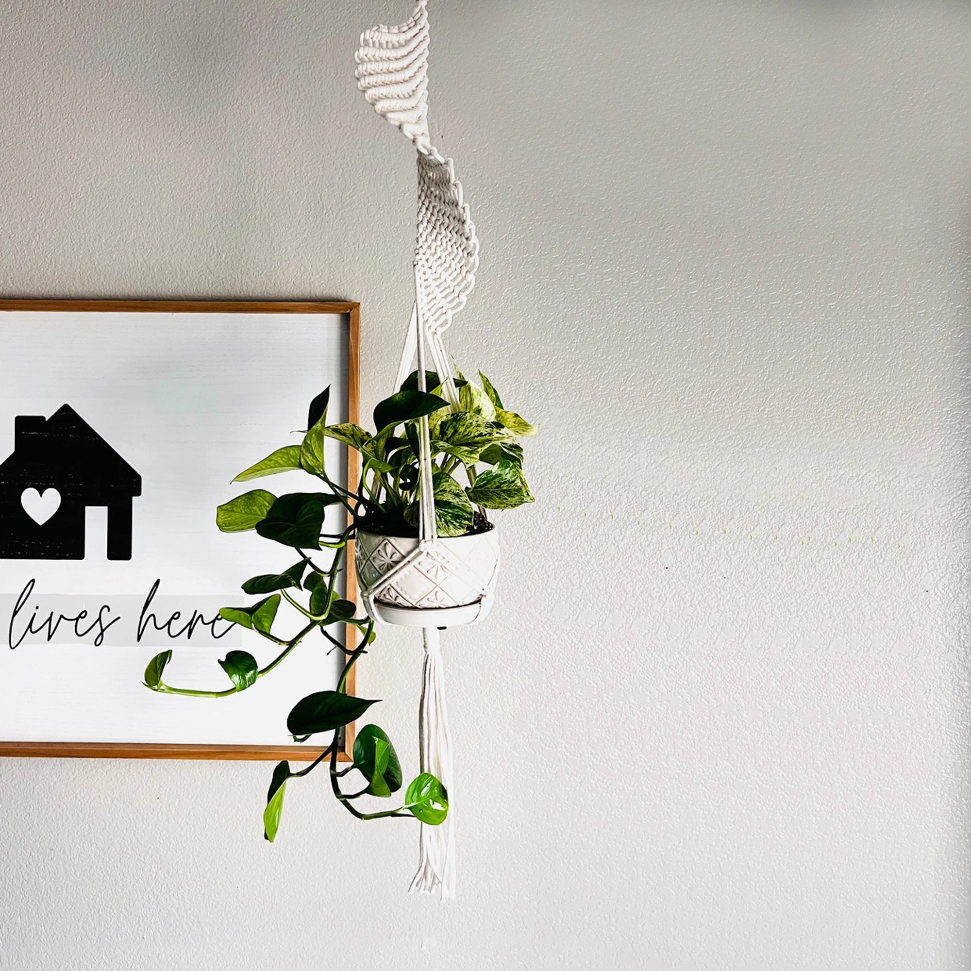 Macrame Plant Hanger Hanging Planter Macrame Hanging Pot Plante Bohemian Weaving Flowerpot Net Bag