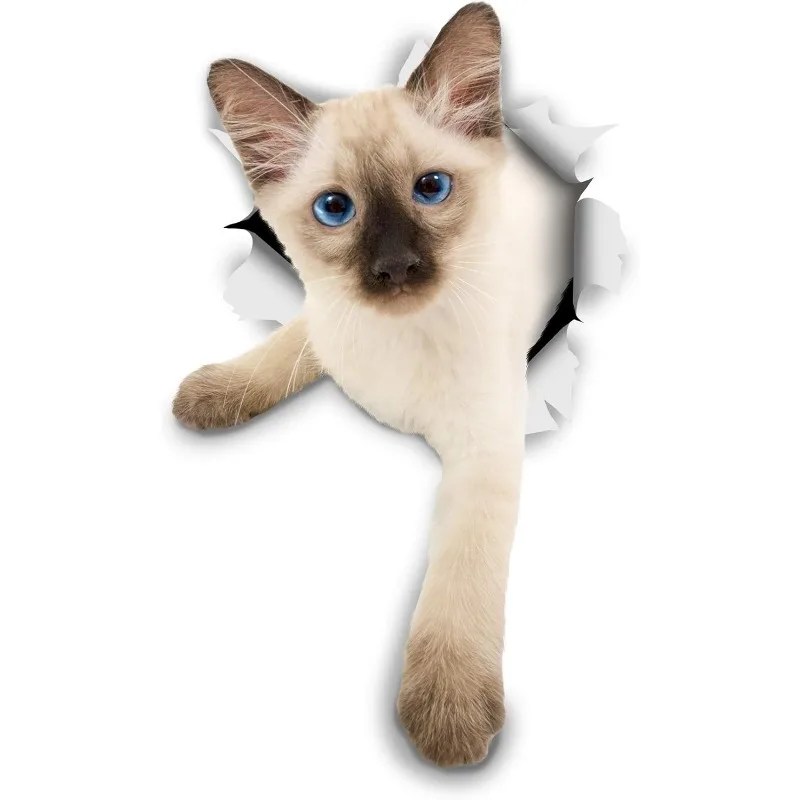 

Winston & Bear 3D Breakout Siamese Cat Decals for Wall Stickers for Bedroom FridgeToile Roo Retail Package15CM PVC KK