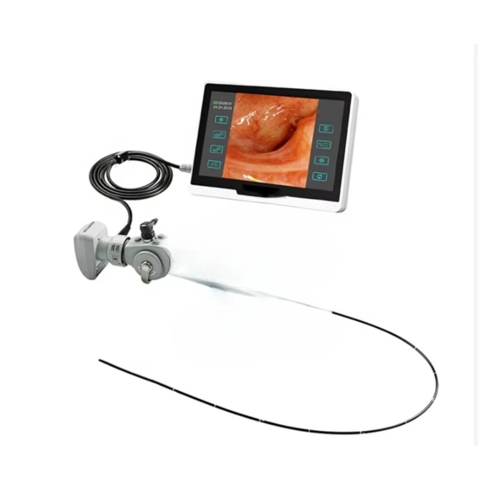 HC-R028B Portable Veterinary Video Gastroenteroscopy System Cat/Dog Small Animal Osteoscopy Cystoscopy Veterinary Clinic