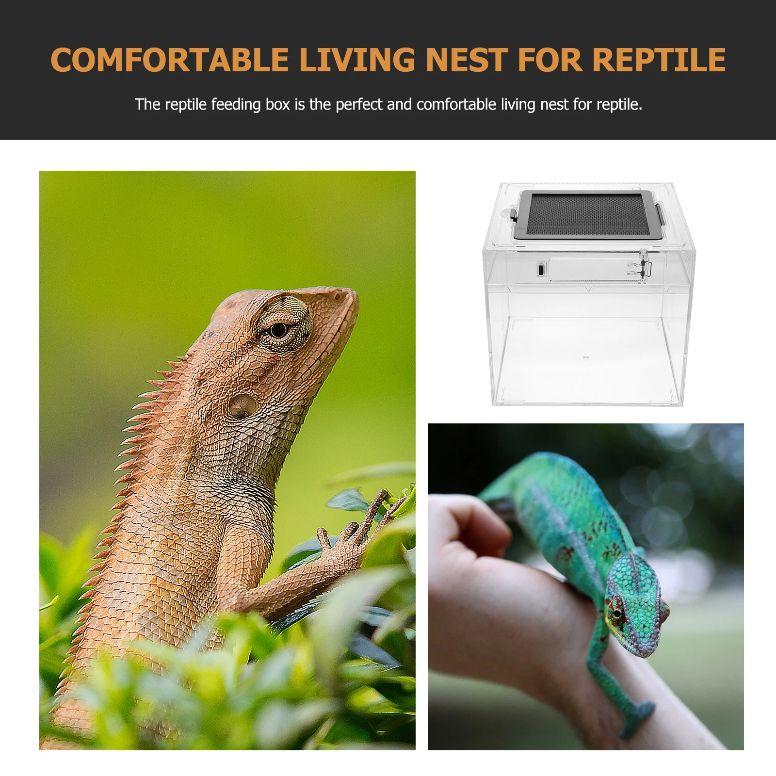 

1Pcs Breeding Box for Reptiles Medium Transparent Pc Material Feeding Container with Ventilation Suitable for Snakes Lizards