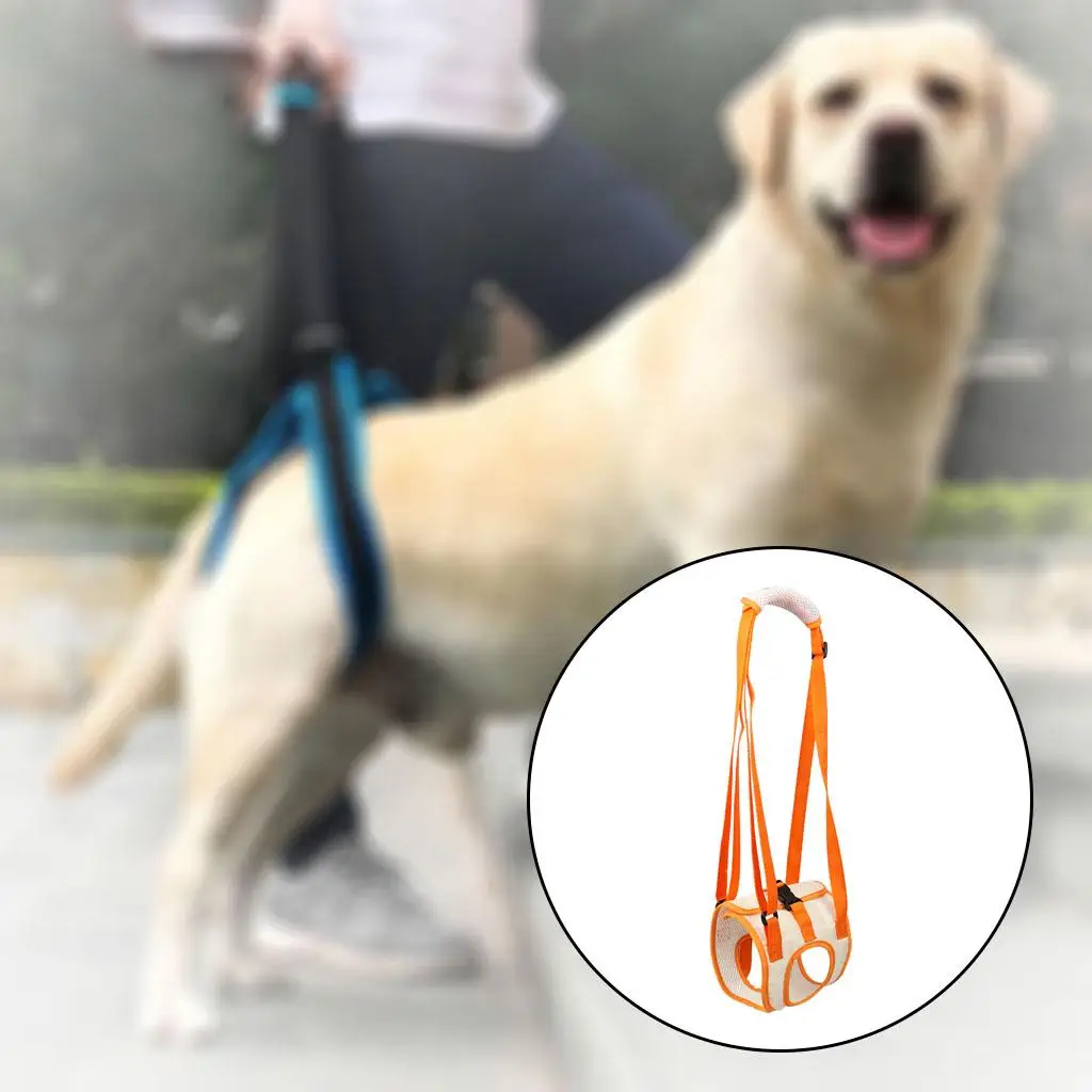 Portable Dog Lift for Back Legs, Hip Support Lifting Harness to Help Pets