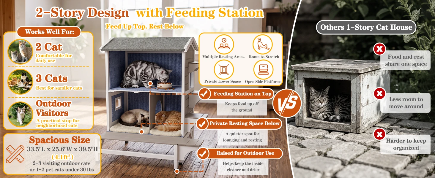 cat house with feeding station