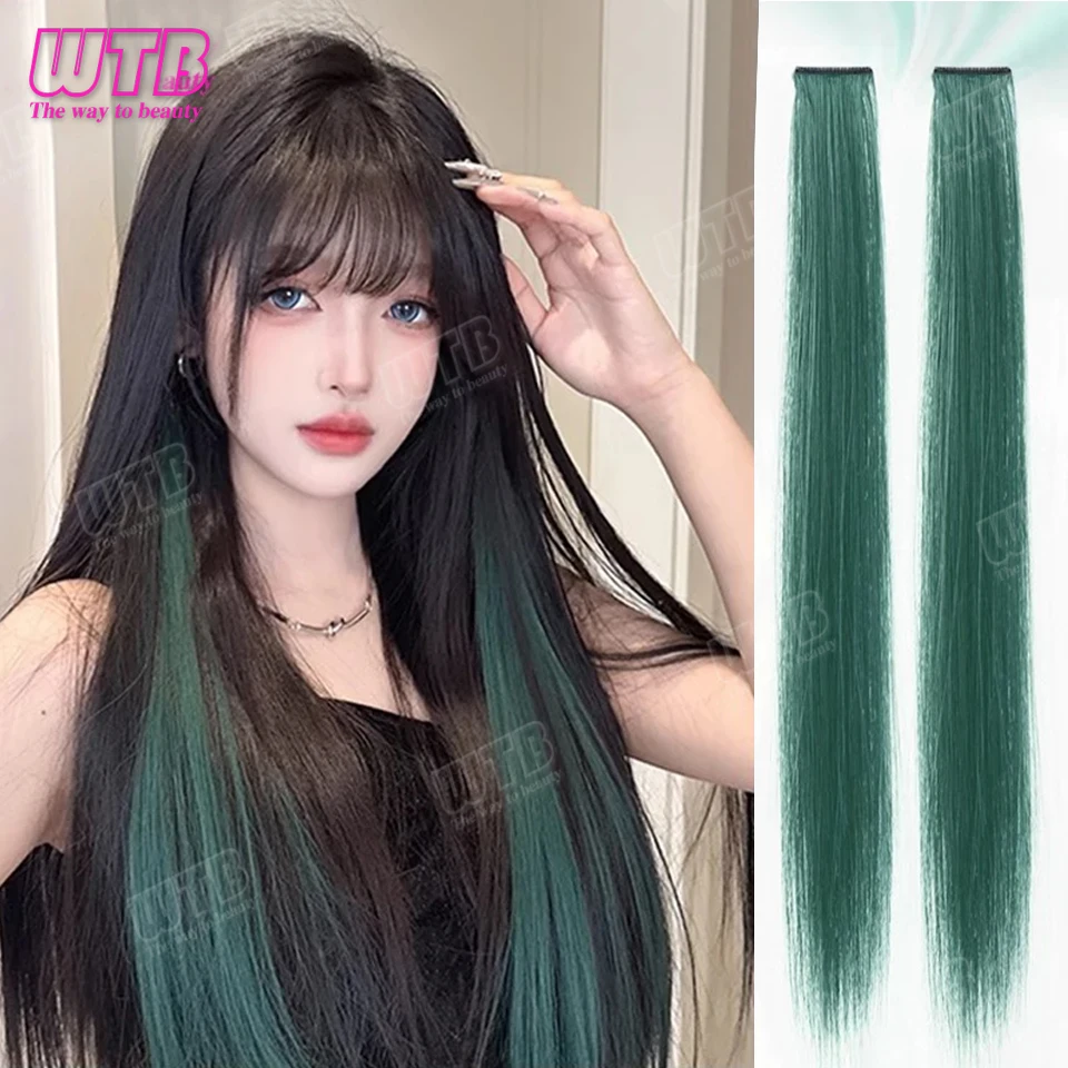 2pcs/pack Synthetic Colored Party Highlights Clip in Hair Extensions for Girls 22 Inches Multi-colors Straight Hair Synthetic Ha