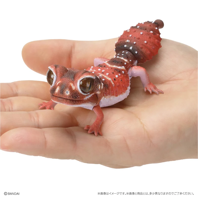 Bandai Gashapon Creature Illustrated Round-tailed Gecko Leopard Gecko Lizard Tumor-tailed Gecko Simulation Movable Ornament