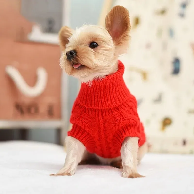 

Knitted Sweater for Small and Medium Dogs, Fashionable Pet Clothes, Chihuahua Puppy Sweater, Yorkshire Pure Dog Sweater