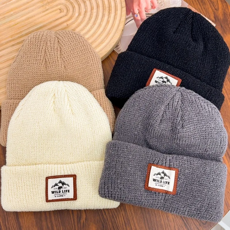 

Winter Warm Knitted Hat Fashionable and Versatile Embroidered Label Knitted Hat Outdoor Cold Proof and Velvet Dome Hoodie
