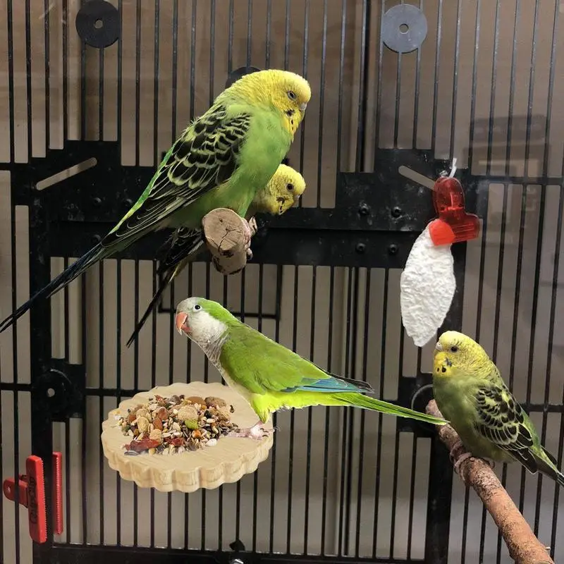 Bird Perches For Cage Budgie Perch Stand Wooden Bird Stands Cage Accessories For Parakeets Conures Cockatiels Budgies Hamster