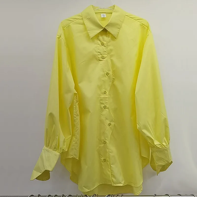 

2025 Autumn New Women's Shirt With Design Sense, High-End Niche Long Sleeve, Elegant Loose Lazy Style Top