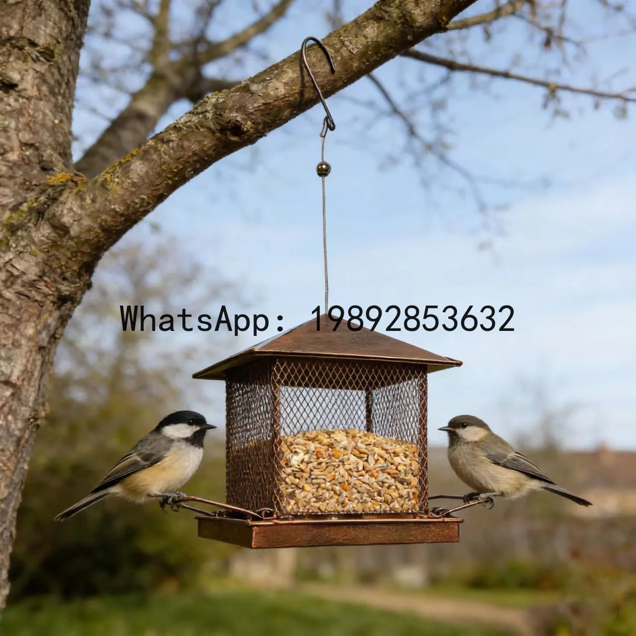 Zz balanced hanging bird feeder - anti-squirrel design - perfect for park and garden decoration - bird feeding