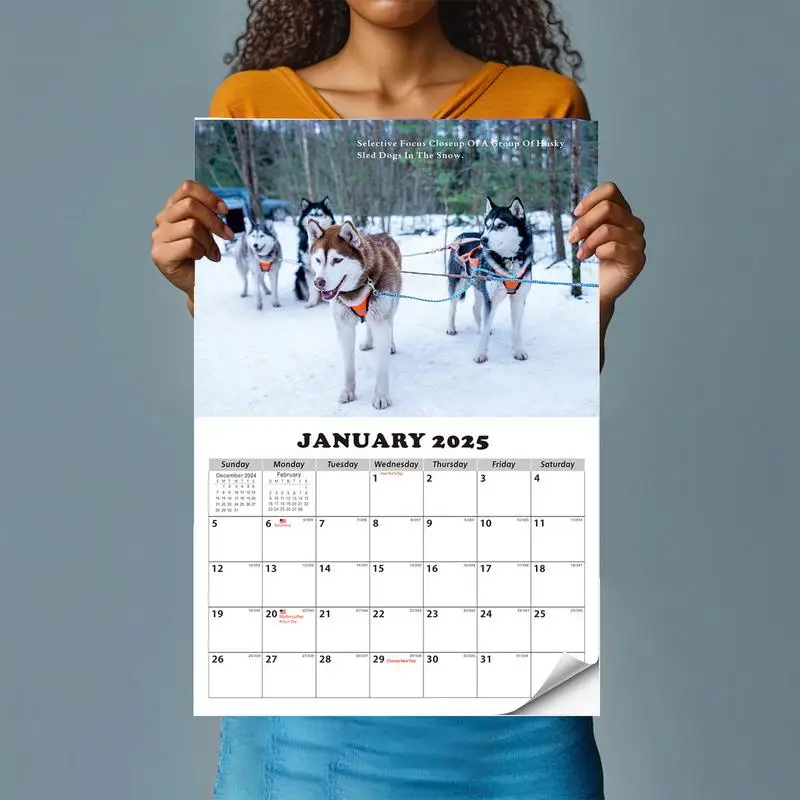 Kalender anjing husky lucu 2025 perencana tahunan kalender dinding kalender Bulanan 13 bulan kalender kertas tebal kalender 2025