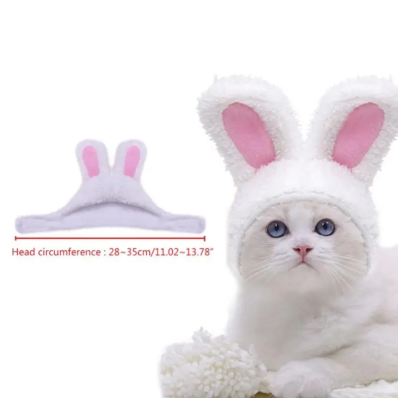 97QD CHAPA PET CHAPA HAXE RABBIT APSIDOS APREA CABEÇA MOLO CASHMERE CAPTH