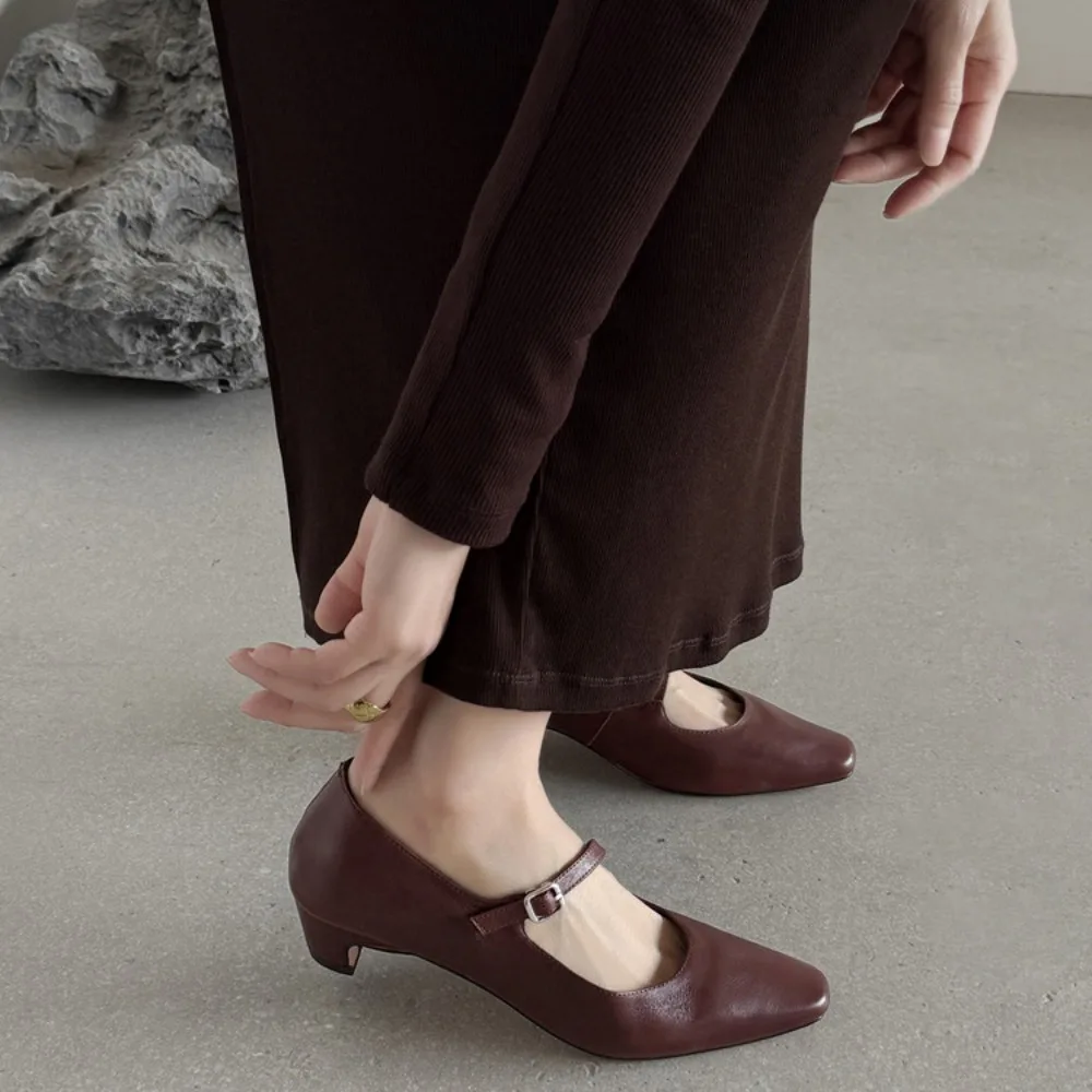 Vintage Wine Brown Leather Mary Jane Shoes Women Ankle Strap Low Heel Pointed Toe Retro Casual Pumps
