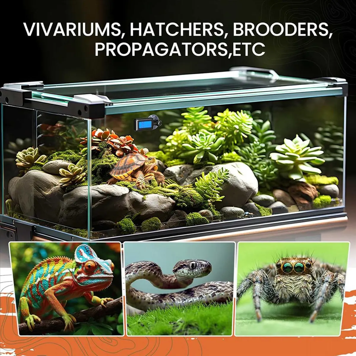 【Promo】2X Reptile Thermometer Hygrometer with Suction Cup Digital Temperature Humidity Meter for Terrarium Reptile Accessories