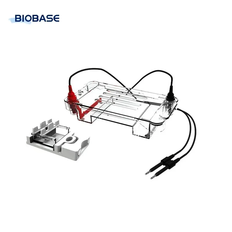 Electrophoresis Power Supply Laboratory Electrophoresis Machine Pulsed-field Gel Electrophoresis