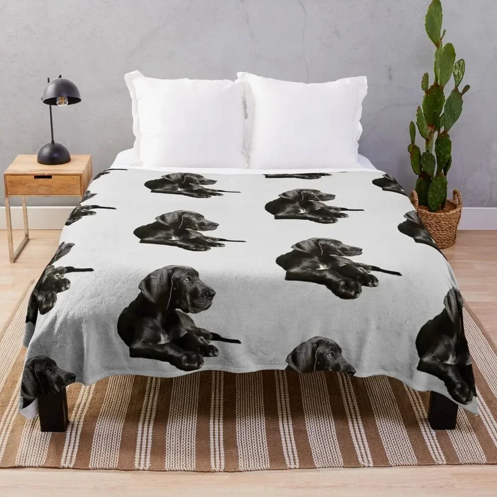 

Black Great Dane - Fantastic Beauty! Throw Blanket Tourist valentine gift ideas Blankets