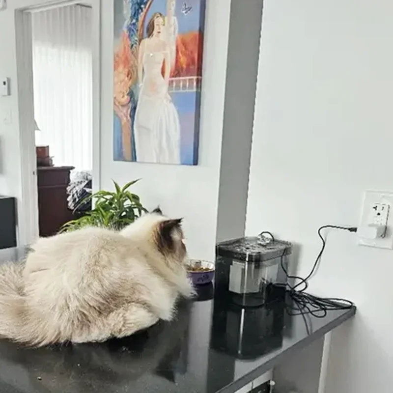 Pet Water Fountain 1.5L Auto Filter Transparent Cat Drinker USB Recirculate Filtering Water Dispenser with Pump Pet Drinking