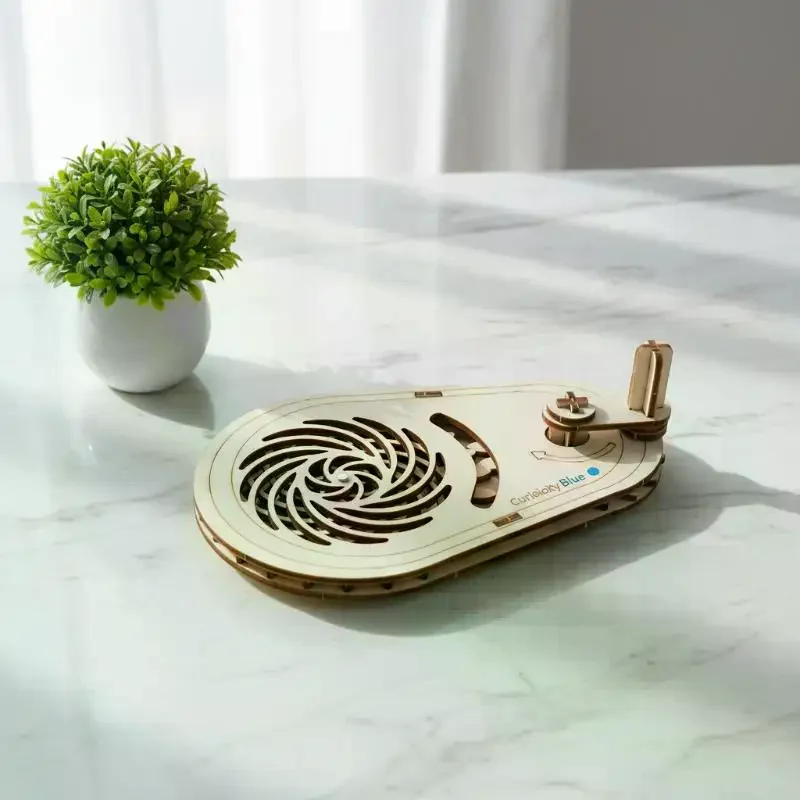 Educational STEM Toy Wooden Optical Illusion Spinner Kit DIY for Interactive Science Play