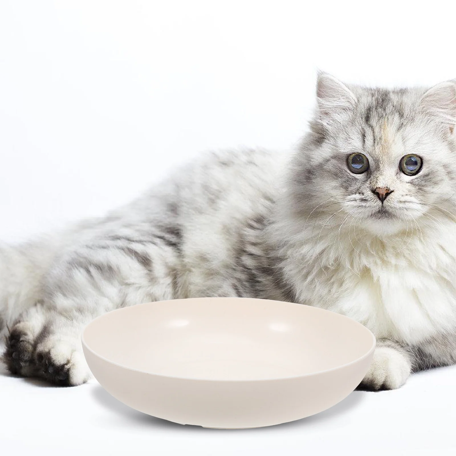 

9pcs Cat Food Tray Bowl Plastic Water Wheat Fiber Bowls for Indoor Cats Non Slip Base Easy Clean Pet Supplies Cat Bowl