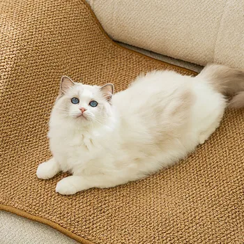 Tappetino per tiragraffi per gatti per interni tappetino protettivo resistente all'usura per gatti per gattini