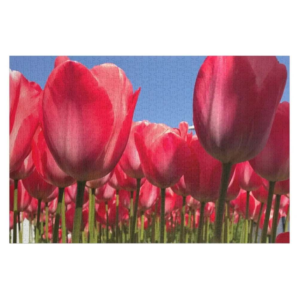 Rode Tulp Bloemen Legpuzzel Anime Aangepaste fotopuzzel