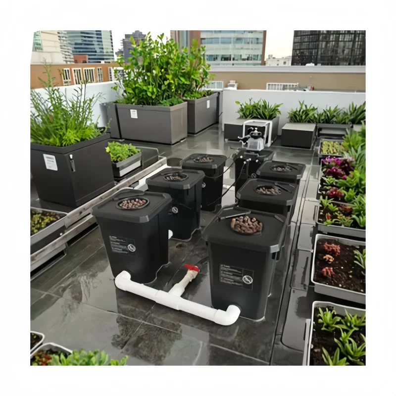 2025 Hydroponic Growing System Rdwc 6 Bucket Rdwc Automatic Irrigation Drop System 6 Units