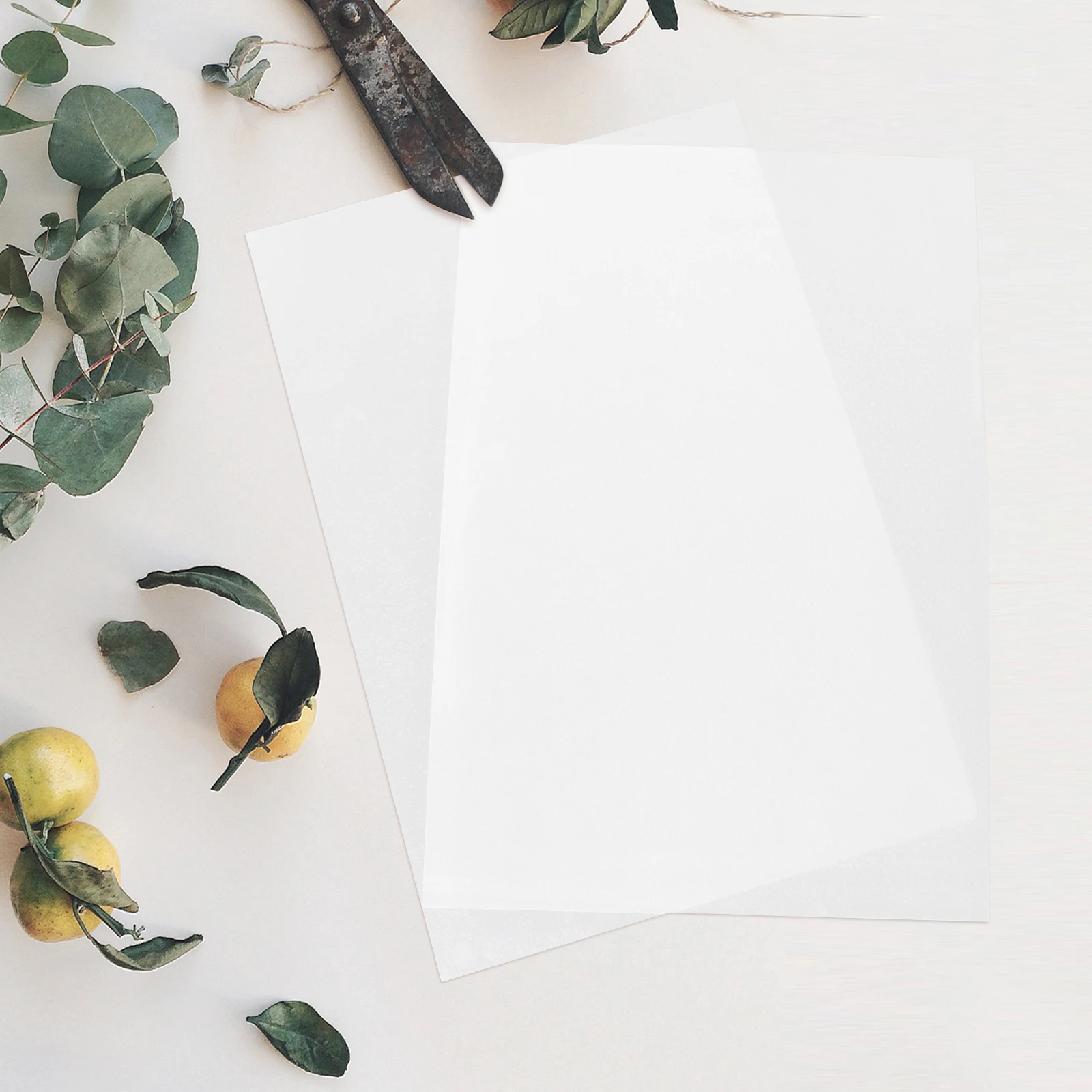 

50 Sheets A4 Thick Printable Paper Multi-Function Blank Cardboard Sheet for Office Work Scrapbooking Commercial Use