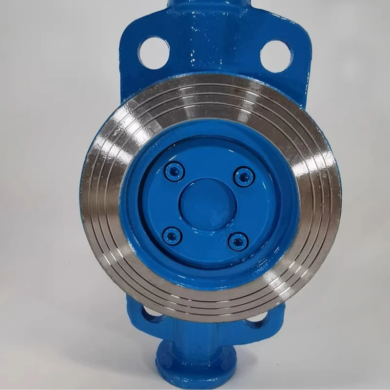 

Cast Steel/Stainless Steel 304 Turbine Hard Seal Wafer Butterfly Valve