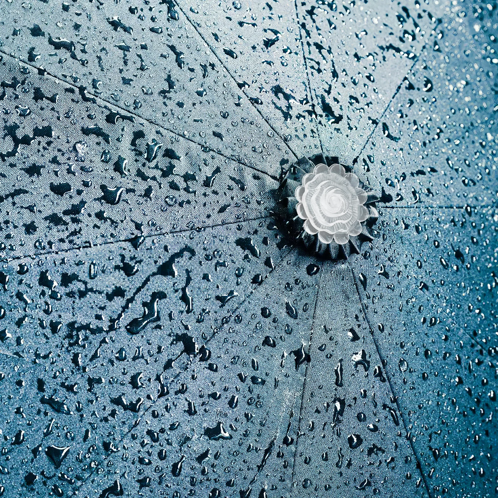 

2Sets Umbrella Tip Caps Replacement 8mm Thread Patio Umbrella Repair Screws DIY Fixing Accessories Outdoor Parasol Top