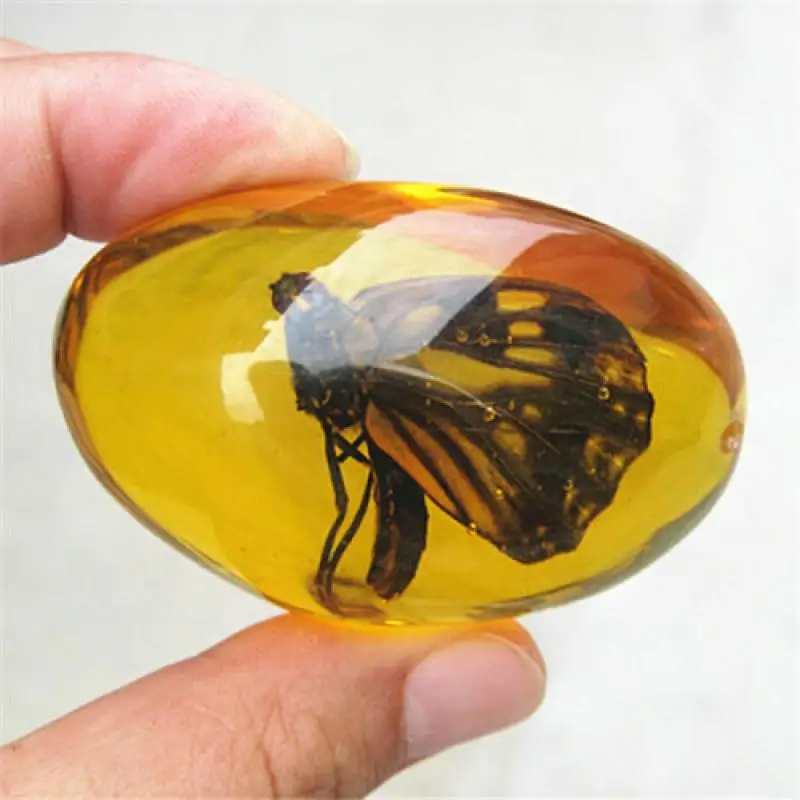 Artificial Amber Butterfly Insect Specimen Stone Manual Polishing Resin Gemstone Desktop Collection Home Decor Ornament